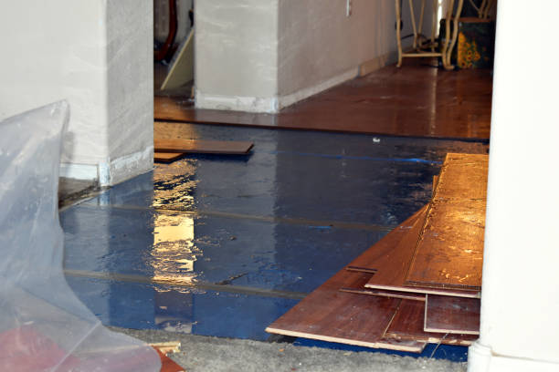Professional Burst Pipe Cleanup technician working in Sheridan, TX